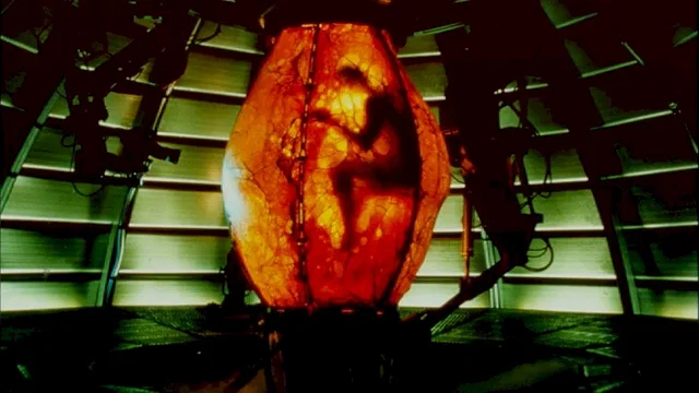 Photo du film : Replicant