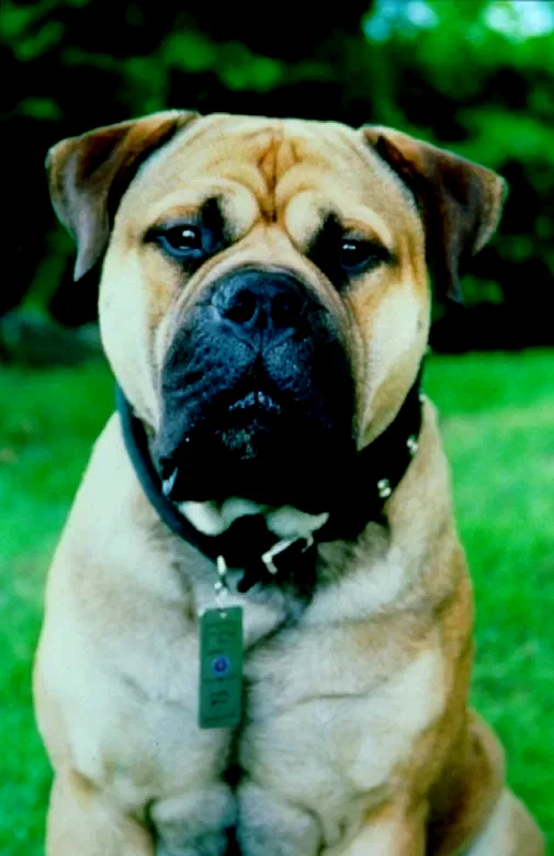 Photo 2 du film : Spot