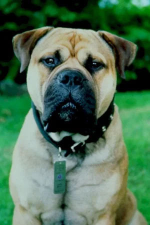 Photo du film : Spot