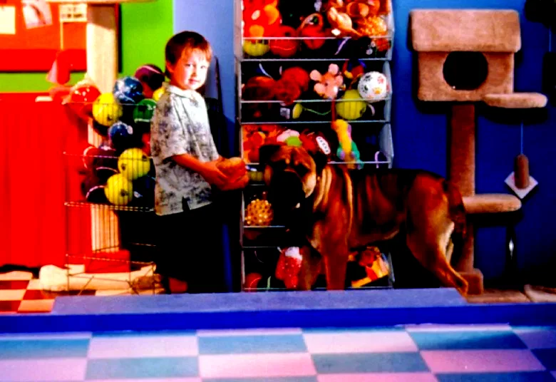 Photo 3 du film : Spot