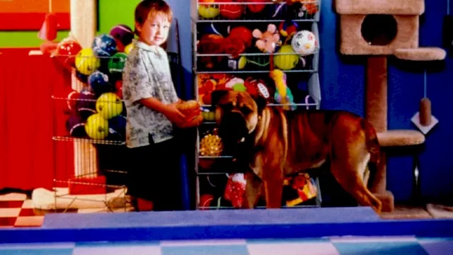 Photo du film : Spot