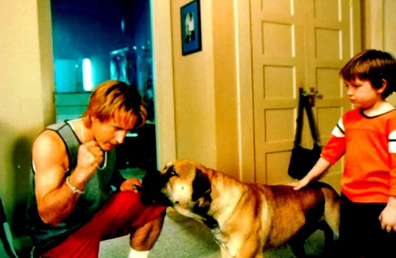 Photo 4 du film : Spot