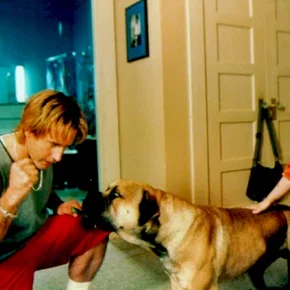 Photo du film : Spot