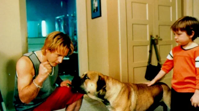Photo du film : Spot