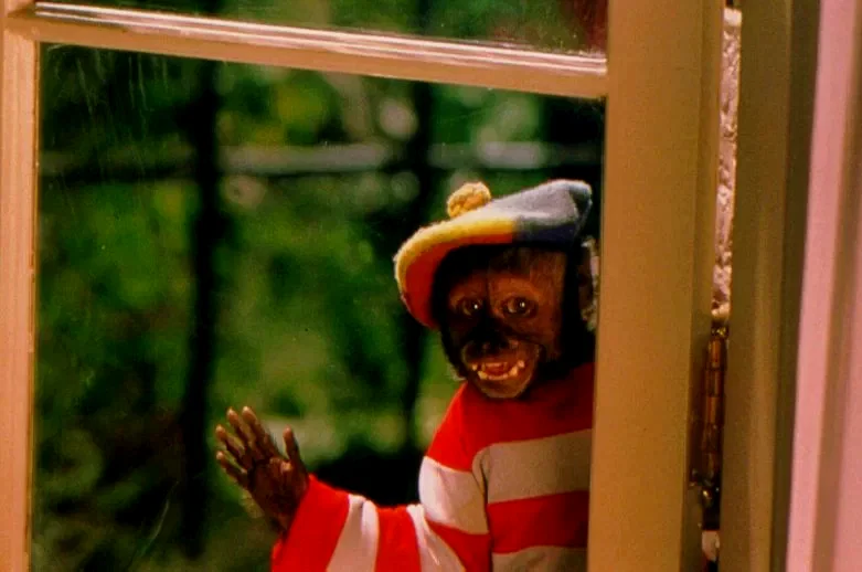 Photo 2 du film : Dr. dolittle 2