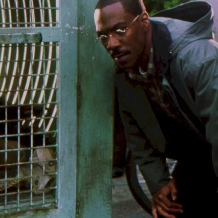 Miniature photo du film : Dr. dolittle 2