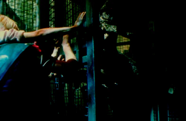 Photo 3 du film : Jurassic park III