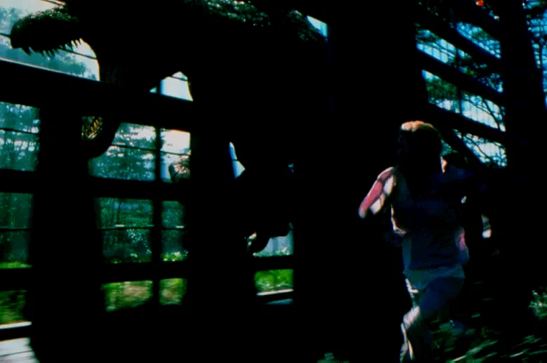 Photo 10 du film : Jurassic park III