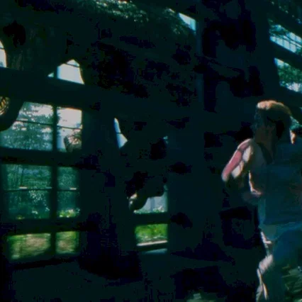 Miniature photo du film : Jurassic park III