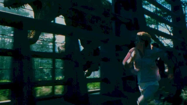 Photo du film : Jurassic park III
