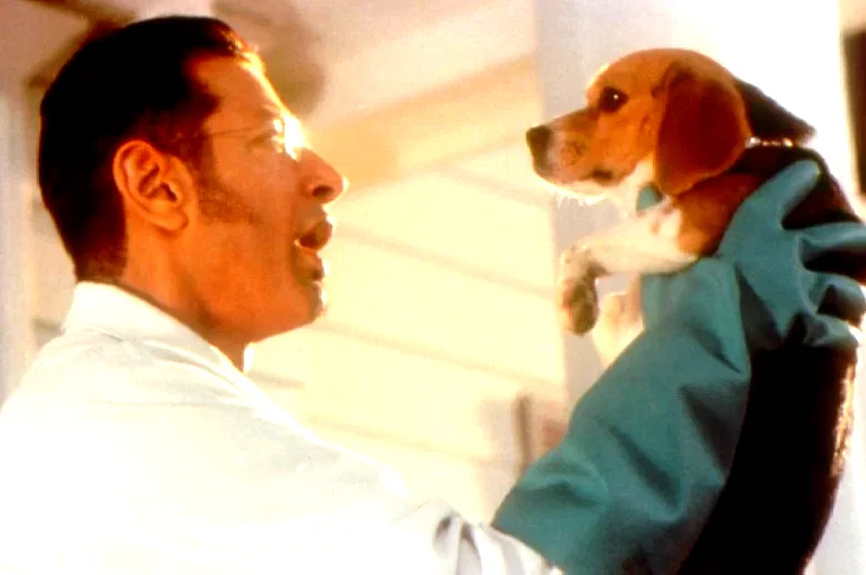 Photo 3 du film : Comme chiens et chats