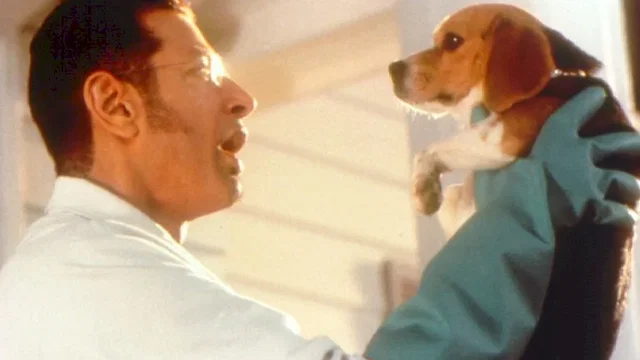 Photo du film : Comme chiens et chats