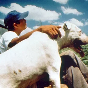 Photo du film : La Libertad