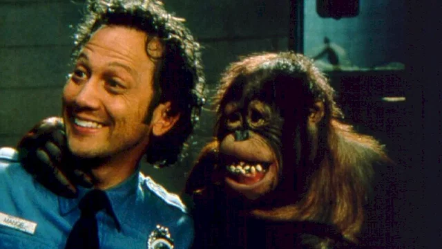 Photo du film : Animal ! l'animal...