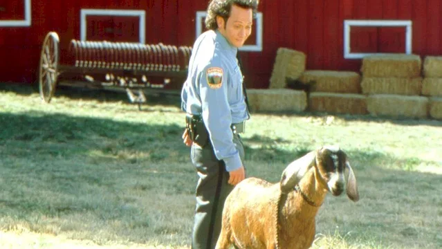 Photo du film : Animal ! l'animal...