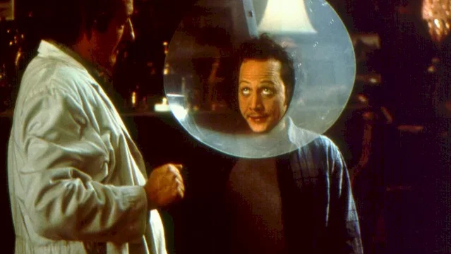 Photo du film : Animal ! l'animal...
