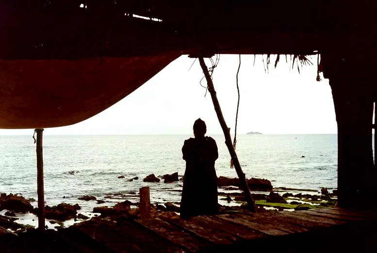 Photo 4 du film : Cafe de la plage
