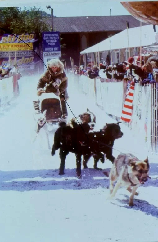 Photo du film : L'aventurier du grand nord