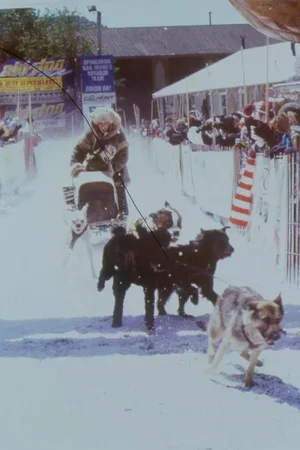 Photo 2 du film : L'aventurier du grand nord