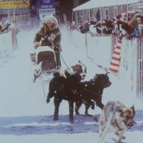 Photo du film : L'aventurier du grand nord