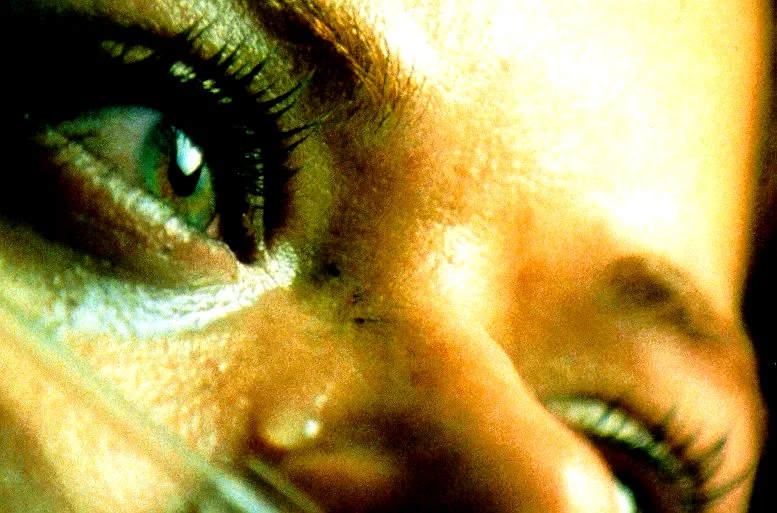 Photo 6 du film : La prophétie des ombres