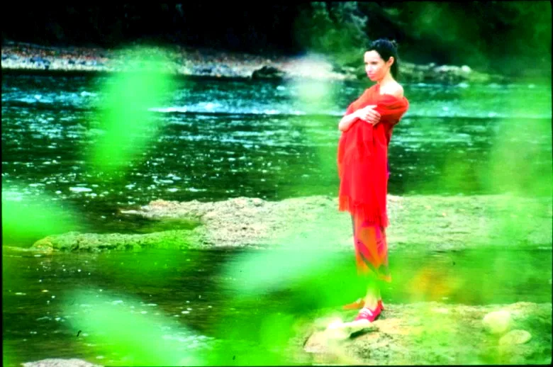 Photo 2 du film : 17 fois cecile cassard