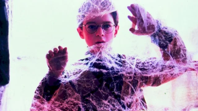 Photo 7 du film : Arac attack