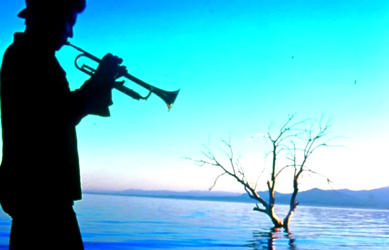 Photo 5 du film : Salton Sea