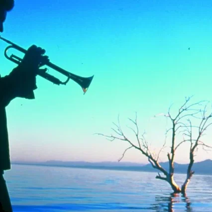 Miniature photo du film : Salton Sea