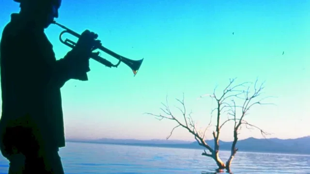 Photo du film : Salton Sea