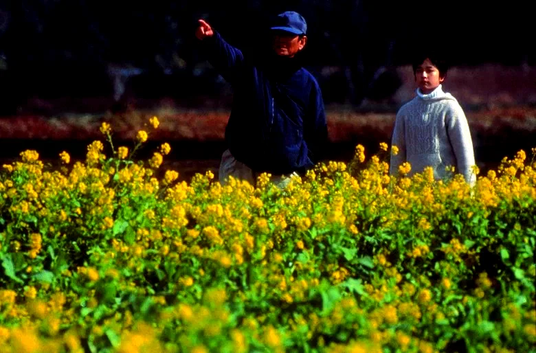 Photo 9 du film : Le chemin des lucioles
