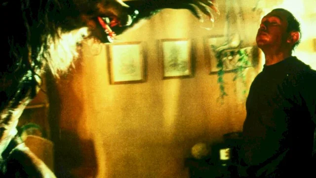 Photo du film : Dog soldiers