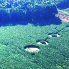 Photo du film : Signes