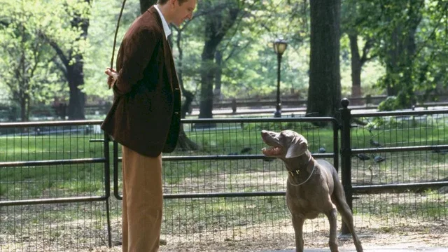 Photo 7 du film : Coup de foudre à Manhattan
