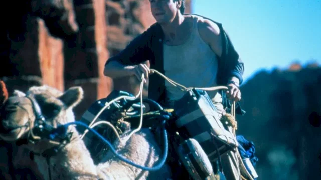 Photo du film : Kangourou jack
