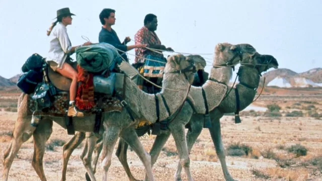 Photo du film : Kangourou jack