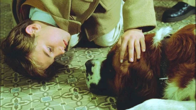 Photo du film : L'enfant du pays