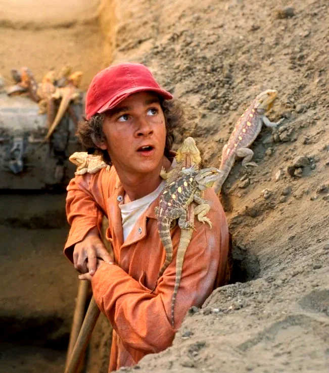 Photo 15 du film : La morsure du lezard