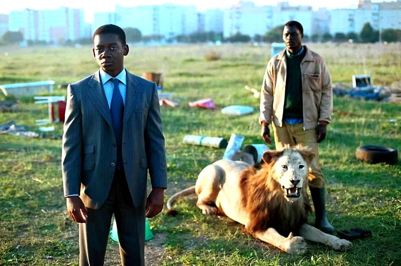 Photo 3 du film : Le costard