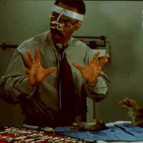 Photo du film : Dr. Dolittle