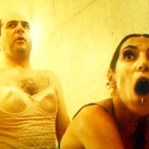 Photo du film : Frogz