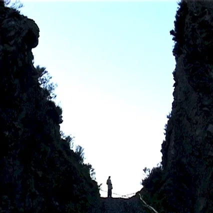 Miniature photo du film : Le chemin des brumes