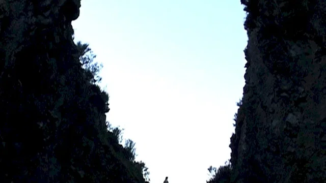 Photo 3 du film : Le chemin des brumes