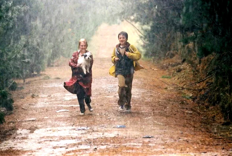 Photo 4 du film : Le secret de Terabithia