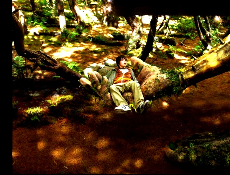 Photo 5 du film : Le secret de Terabithia