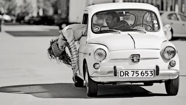 Photo du film : Dark horse