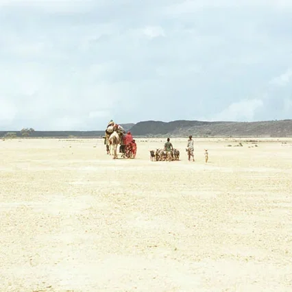 Miniature photo du film : Si le vent souleve les sables