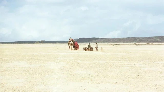 Photo du film : Si le vent souleve les sables