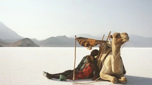 Photo du film : Si le vent souleve les sables