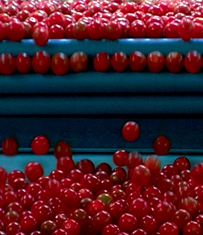Photo 8 du film : Le marché de la faim